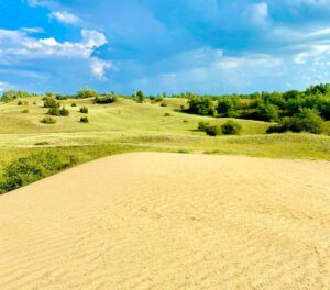 Fülöpházi Sanddünen - Ein Wunder der Kiskunsági-Welt in Ungarn