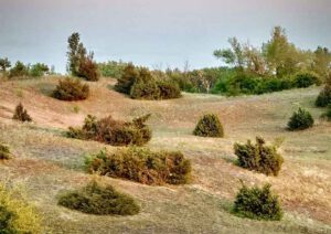 Puszta Pur - Naturerlebnis zwischen sanften Hügeln und endlosen Weiten