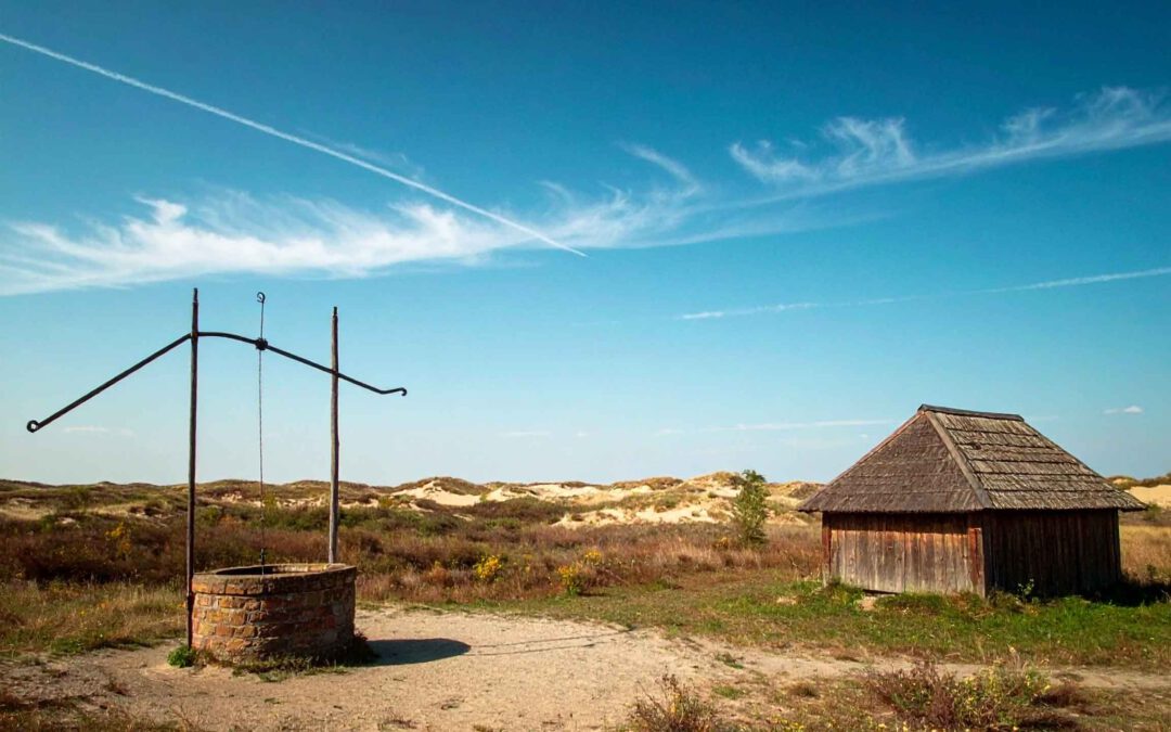 Mystische Wanderduenen in Ungarn: Ein unvergessliches Naturabenteuer in der Puszta