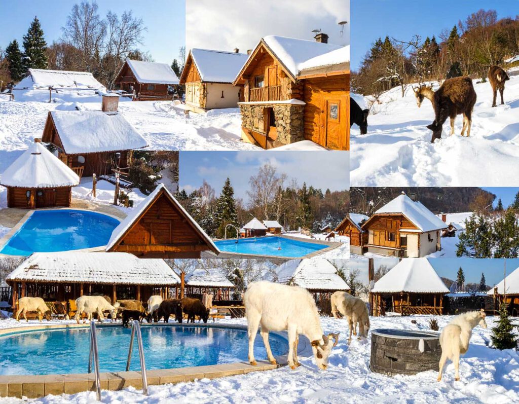 Collage zum Winterurlaub in der ungarischen Puszta mit Wellnessbereich, Jacuzzi, Sauna, Gästehäusern, Pool und traditionellen Tieren auf der Ranch