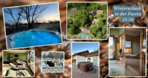 Collage zum Winterurlaub in der ungarischen Puszta mit Wellnessbereich, Jacuzzi, Sauna, Gästehäusern, Pool und traditionellen Tieren auf der Ranch