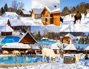 Collage zum Winterurlaub in der ungarischen Puszta mit Wellnessbereich, Jacuzzi, Sauna, Gästehäusern, Pool und traditionellen Tieren auf der Ranch