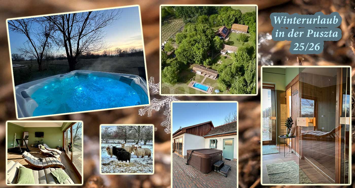Collage zum Winterurlaub in der ungarischen Puszta mit Wellnessbereich, Jacuzzi, Sauna, Gästehäusern, Pool und traditionellen Tieren auf der Ranch